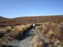 047 - Tuesday - Tongariro Alpine Crossing - the long road in