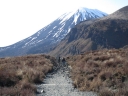 051 - Tuesday - Tongariro Alpine Crossing - the long road in